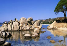 雷火电竞入口-内马尔点燃！圣殿狂欢夜诠释足球信仰