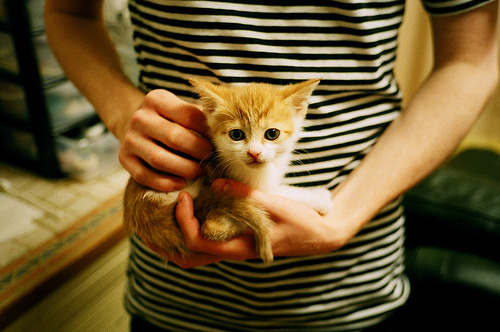 奥亚尔萨瓦尔的奏鸣曲，当单一节拍驯服英格兰狂想曲