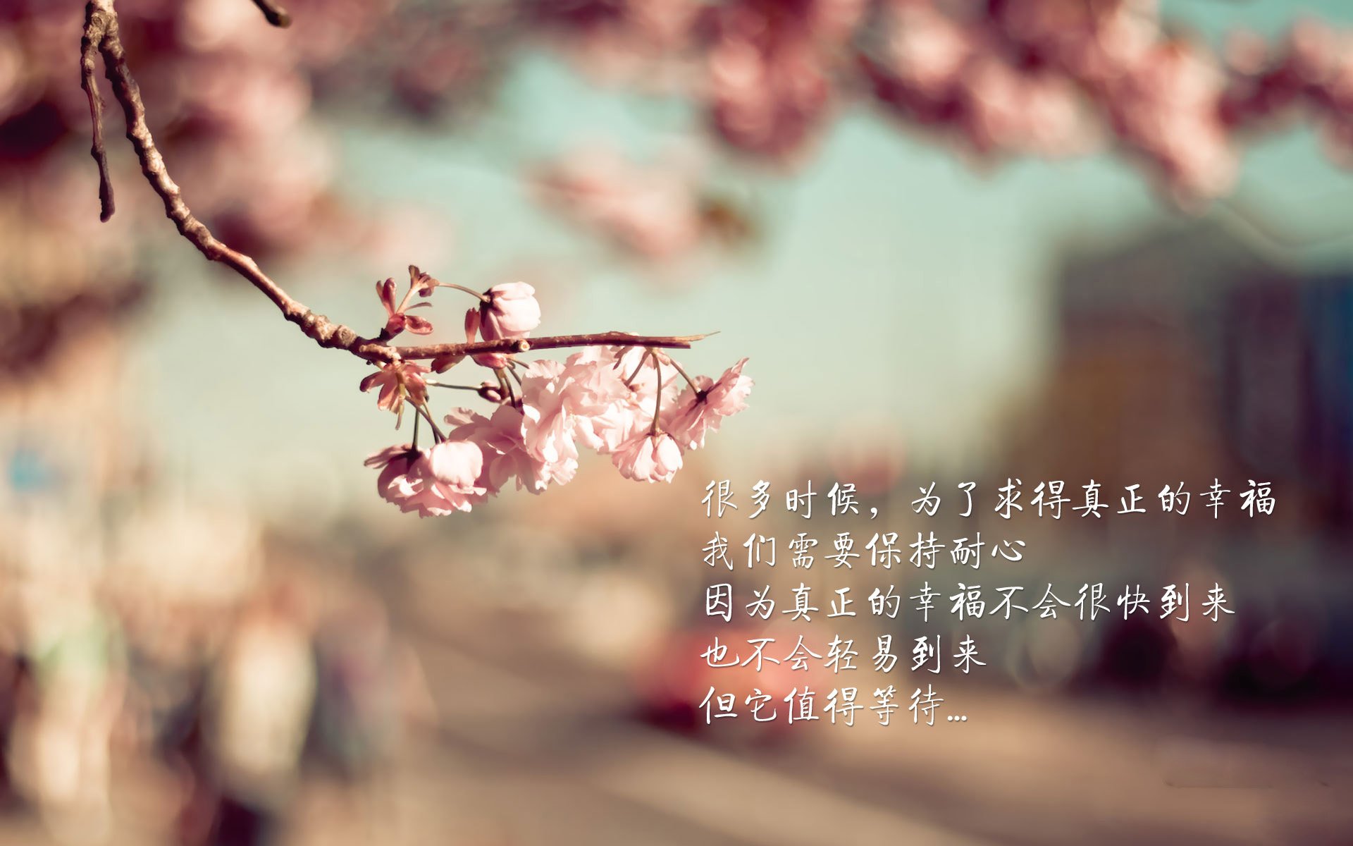 雷火电竞网址-完美风暴！切特全能表演击碎深防，76人季后赛版图初现狰狞