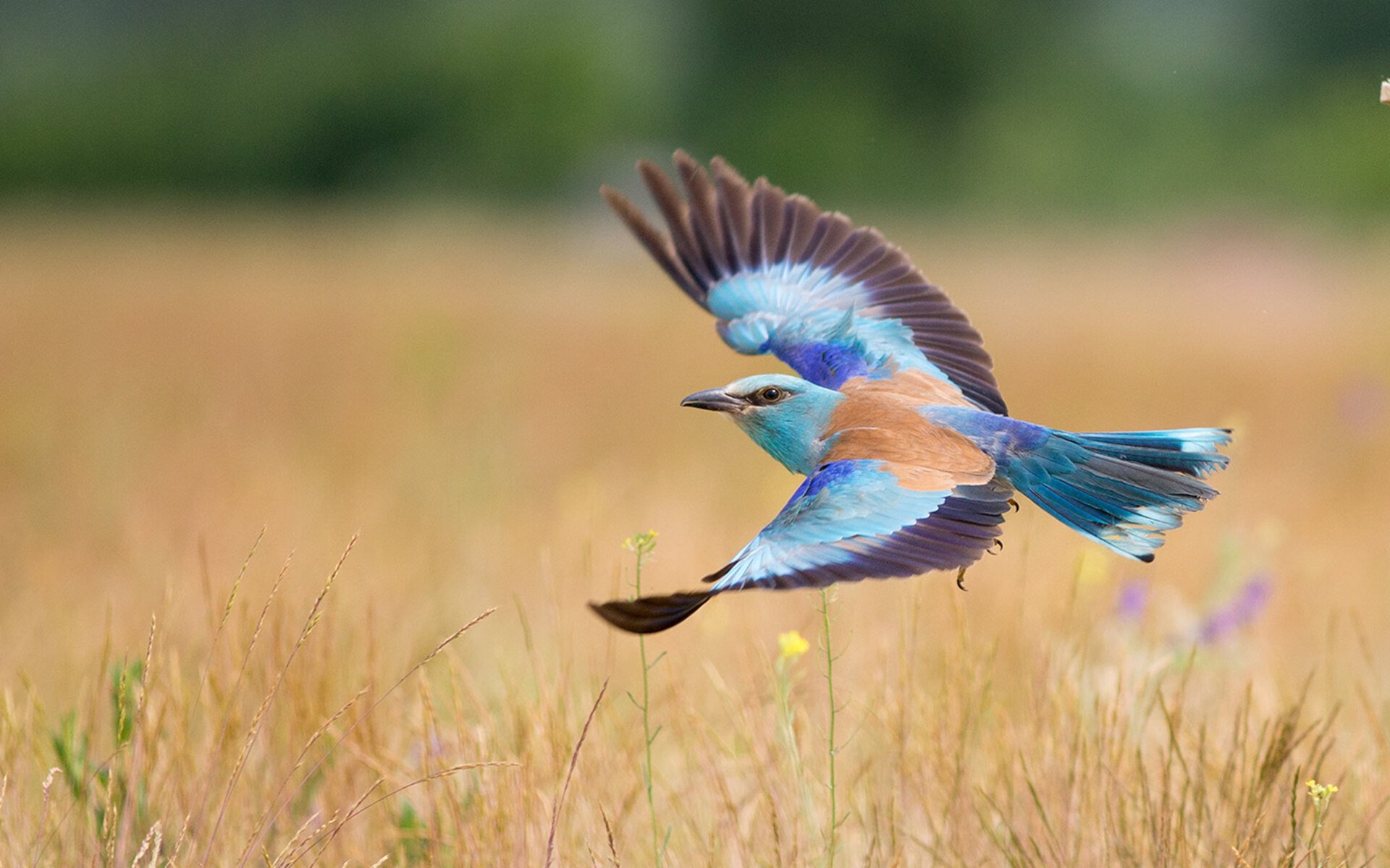 雷火电竞网址-奇点降临，三大平行时空的体育狂想曲