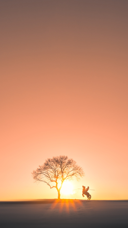 绿茵平行宇宙，当欧冠火焰照亮南美与东亚的足球血性