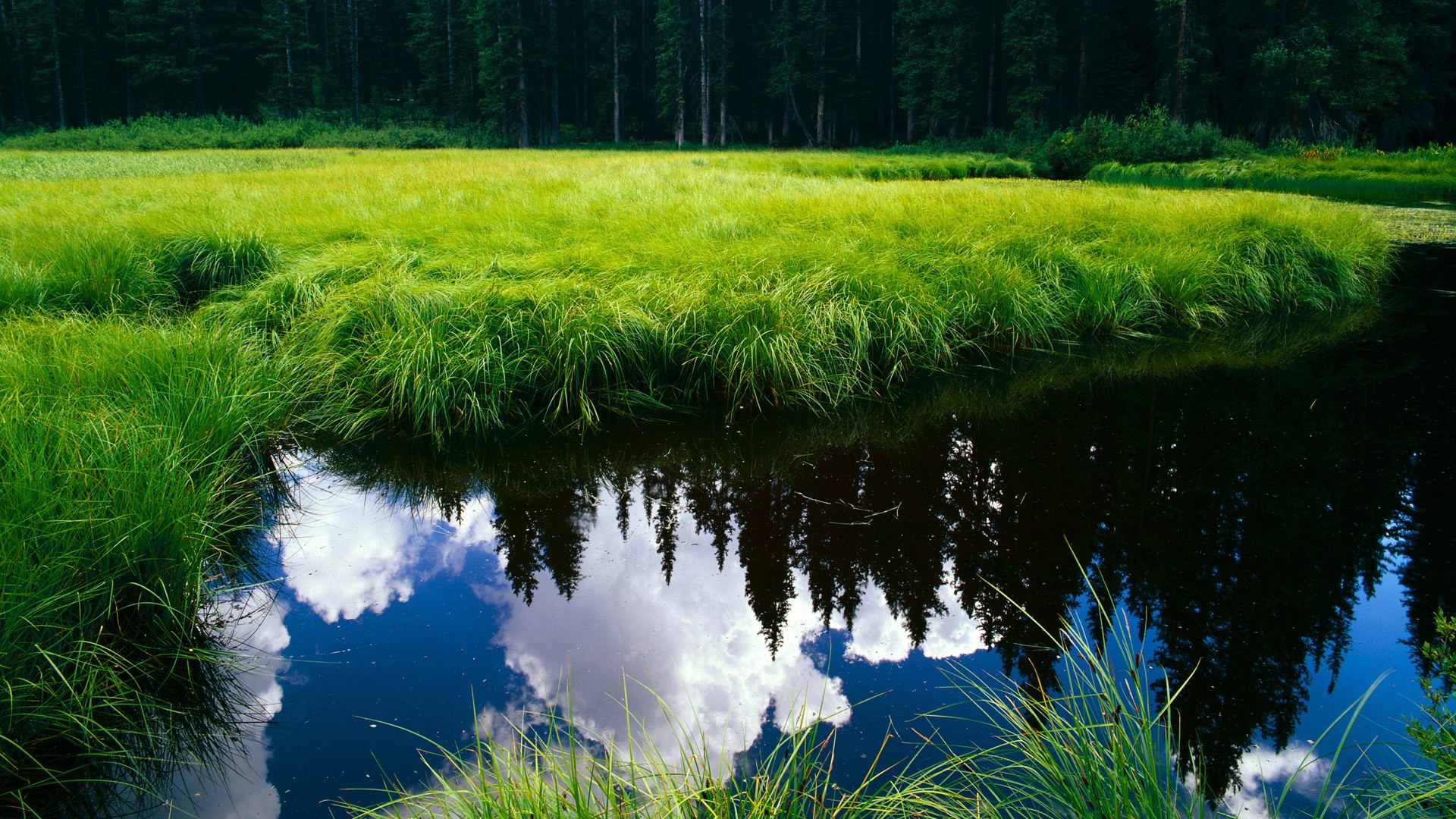维也纳的雨，墨西哥的泪，归化之子迪亚斯一箭穿心终结宿命
